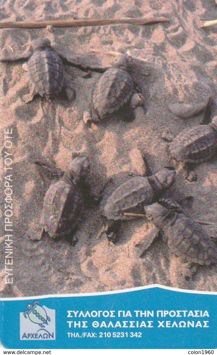GRECIA. TORTUGAS. Carreta Caretta Sea Turtle Protection Association. 05/2003. X1644. (142). - Tortues