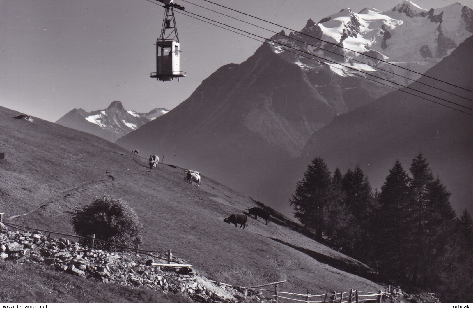 Stalden * Luftseilbahn Staldenried - Gspon, Kühe, Seilbahn, Alpen * Schweiz * AK1665 - Stalden