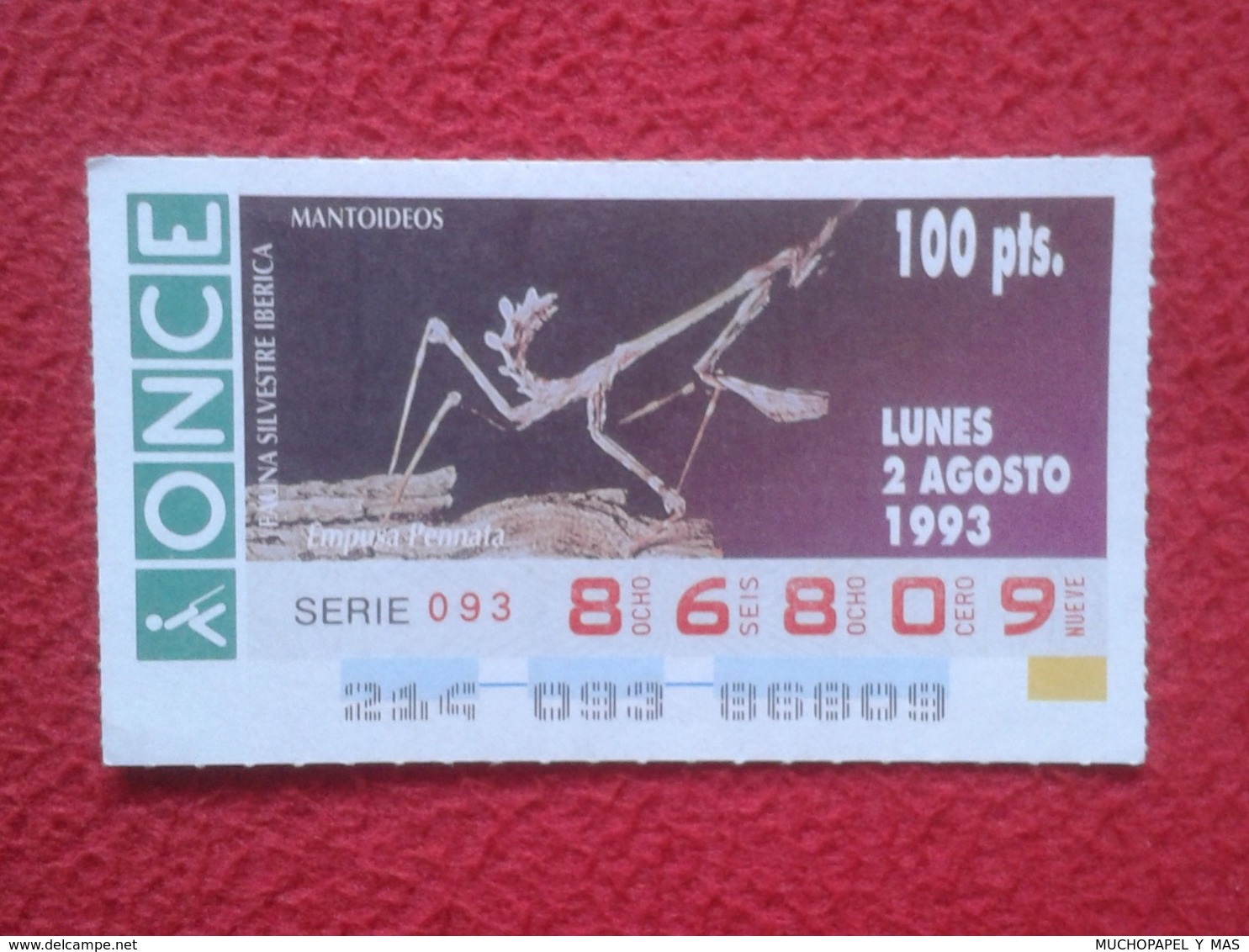 CUPÓN DE ONCE 1993 LOTTERY LOTERIE SPAIN LOTERÍA FAUNA FAUNE IBÉRICA EMPUSA PENNATA MANTIS PALO CONEHEAD RELIGIOSA O SIM - Billetes De Lotería