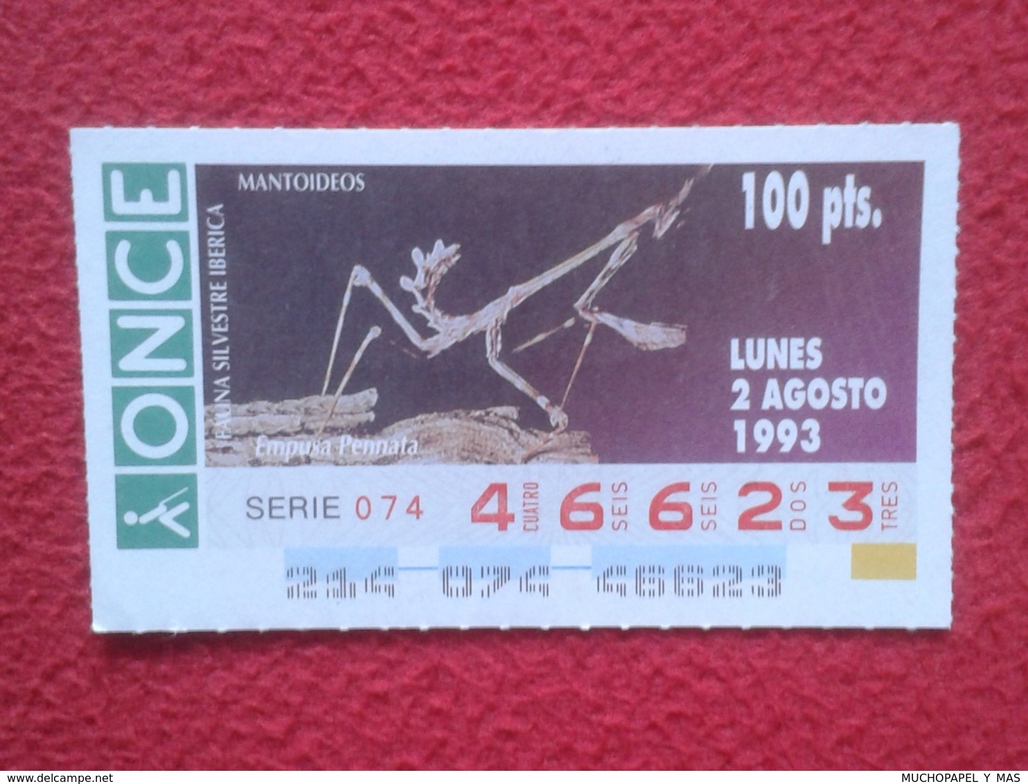 CUPÓN DE ONCE 1993 LOTTERY LOTERIE SPAIN LOTERÍA FAUNA FAUNE IBÉRICA EMPUSA PENNATA MANTIS PALO CONEHEAD RELIGIOSA O SIM - Billetes De Lotería