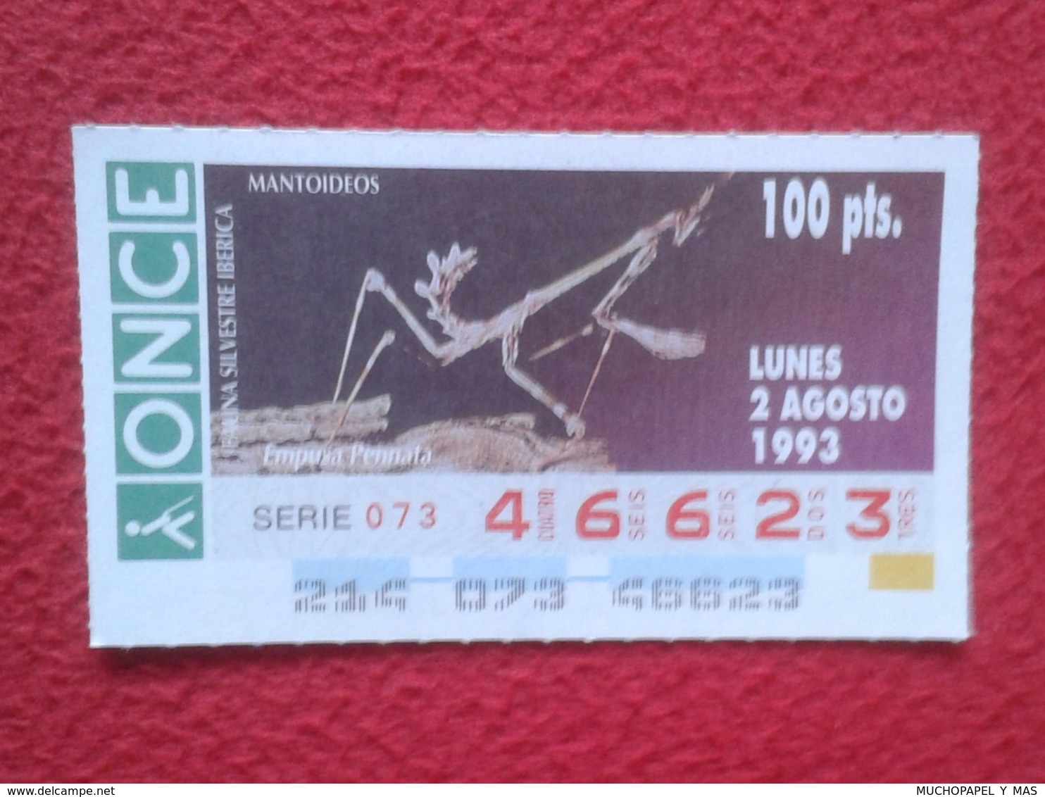 CUPÓN DE ONCE 1993 LOTTERY LOTERIE SPAIN LOTERÍA FAUNA FAUNE IBÉRICA EMPUSA PENNATA MANTIS PALO CONEHEAD RELIGIOSA O SIM - Billetes De Lotería
