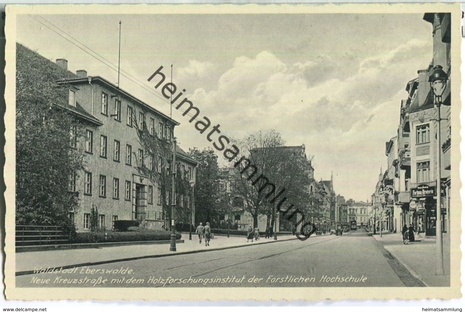 Eberswalde - Neue Kreuzstrasse - Holzforschungsinstitut Der Forstl. Hochschule - Verlag Georg Neumann Eberswalde - Eberswalde