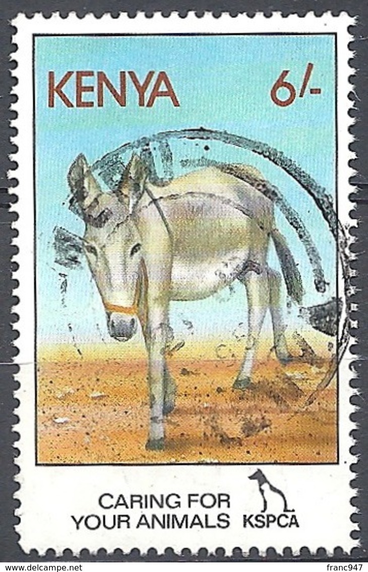 Kenya,1995 Donkey (Equus Asinus Asinus), 6sh # S.G. 637 - Michel 612 - Scott 637 USED - Kenya (1963-...)