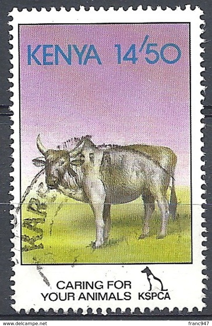 Kenya,1995 Cattle (Bos Primigenius Indicus), 14.50sh # S.G. 638 - Michel 613 - Scott 638 USED - Kenya (1963-...)