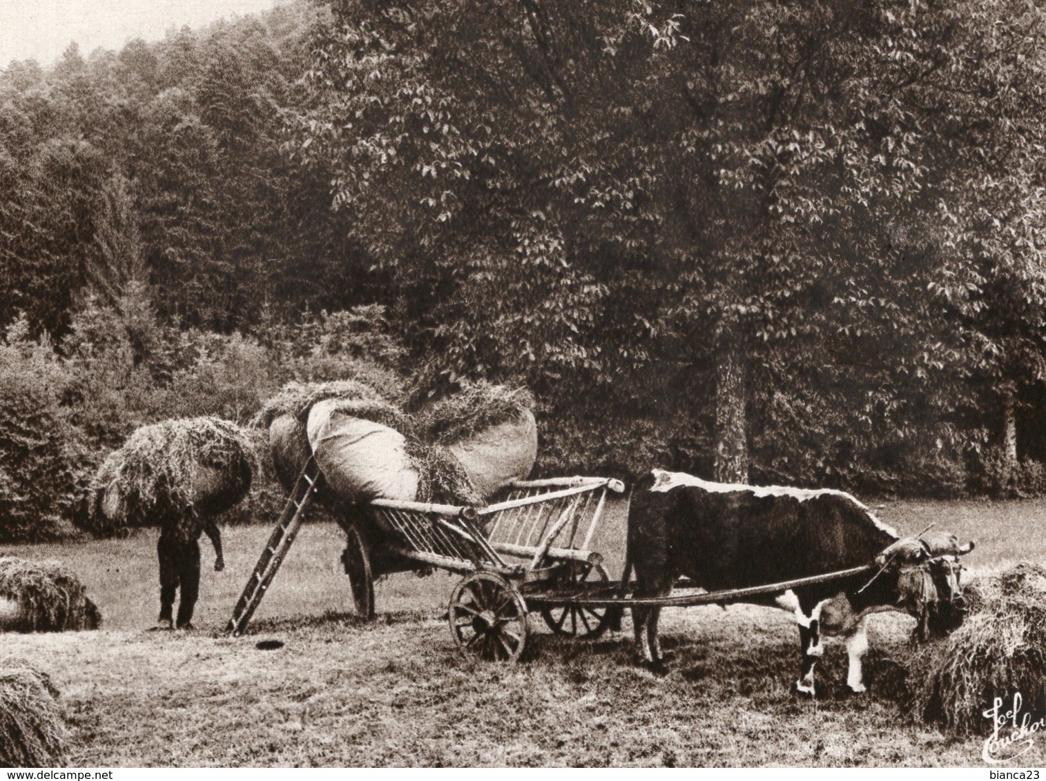 B59394 CPM Les Vosges  - Les Foins - Autres & Non Classés