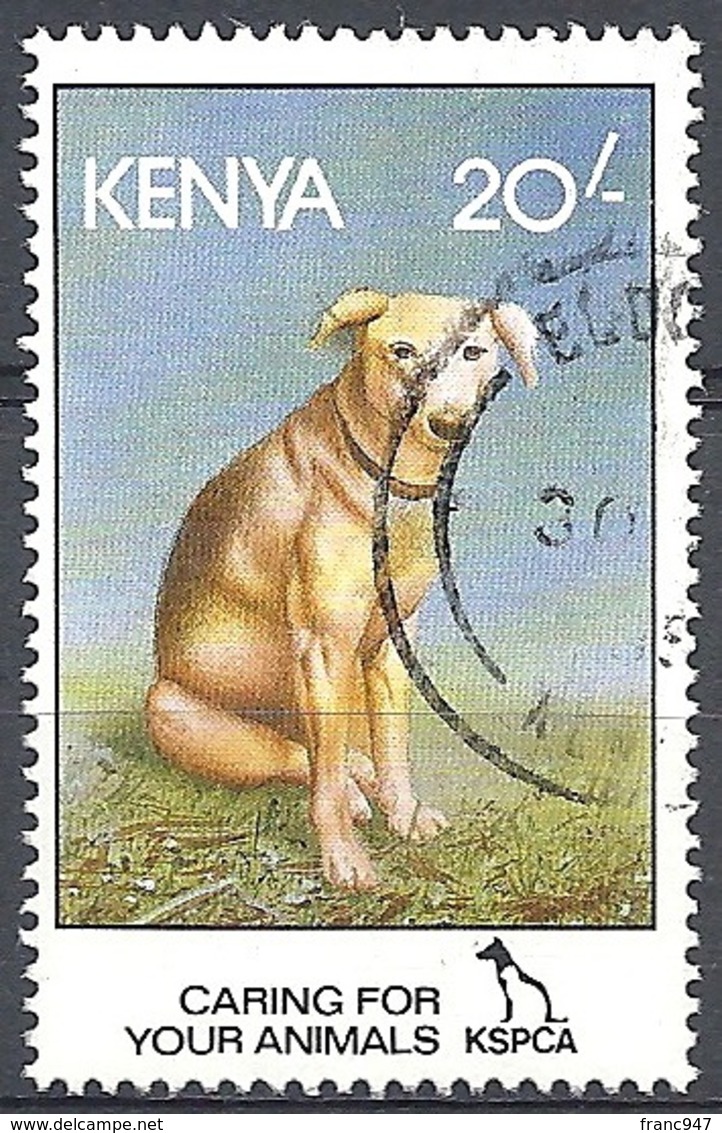 Kenya,1995  Dog (Canis Lupus Familiaris), 20sh # S.G. 640 - Michel 615 - Scott 640 USED - Kenya (1963-...)