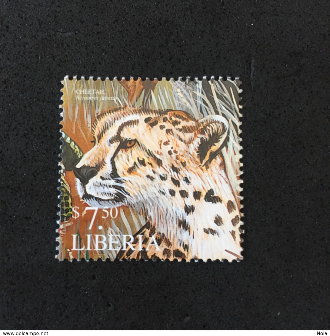 LIBERIA  MNH. 5R1201B - Felinos