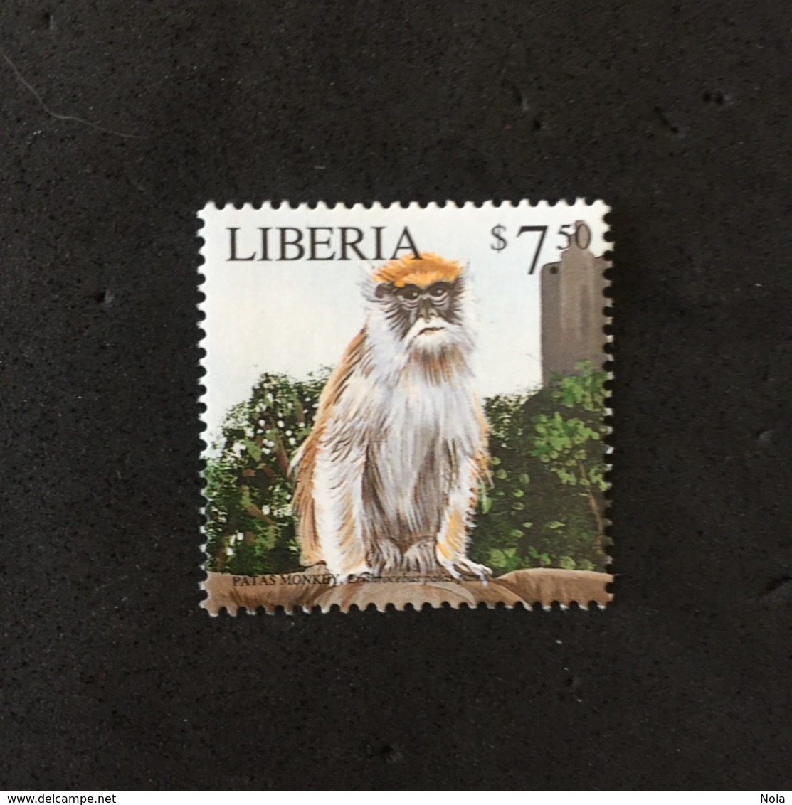 LIBERIA. MONKEY.  MNH. 5R1201E - Other & Unclassified