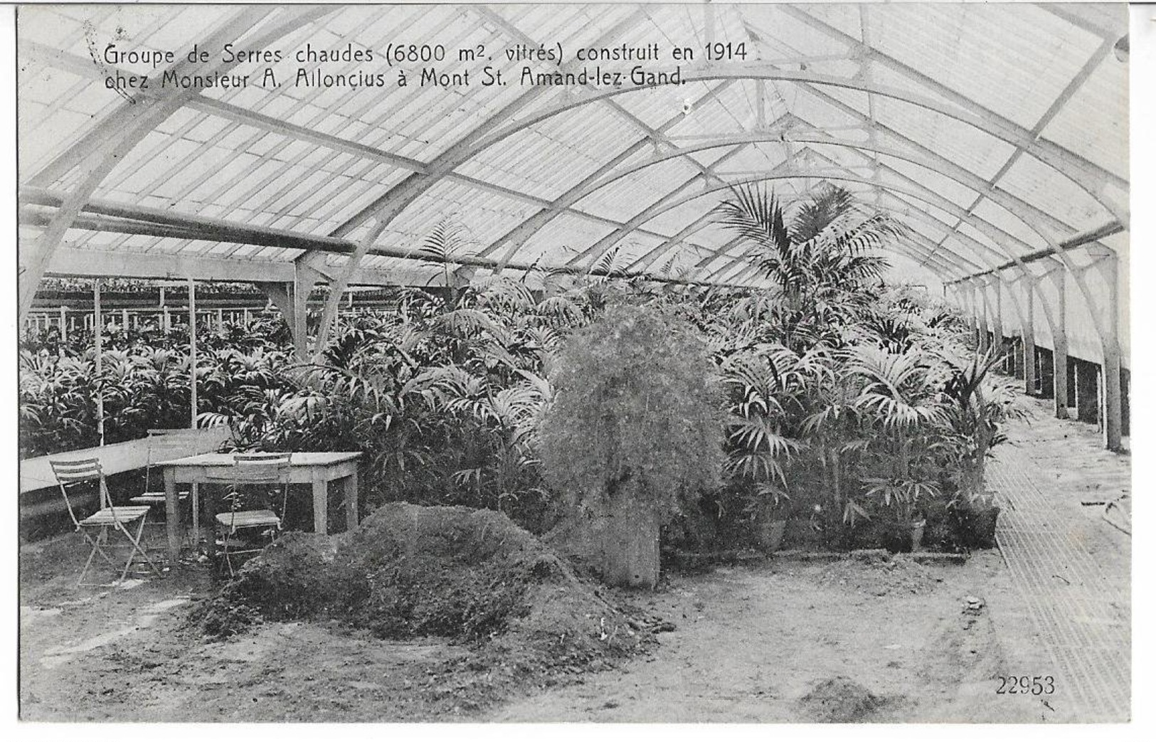 Groupe De Serres Chaudes Constuit En 1914 à Mont St Amand-lez- Gand - Postcards 1909-1934