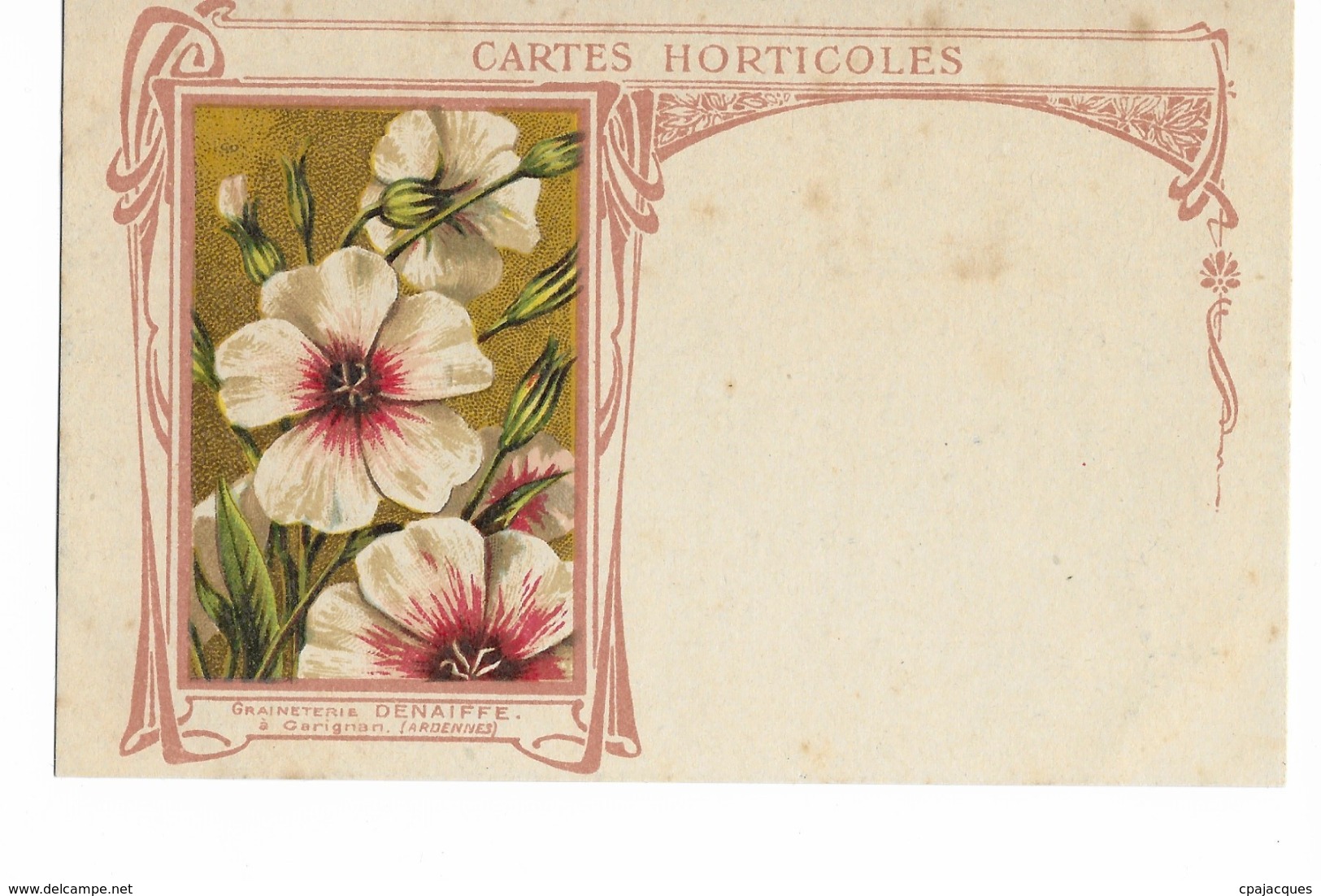 08 - CARIGNAN - GRAINETERIE DENAIFFE - CARTES HORTICOLES . - Autres & Non Classés