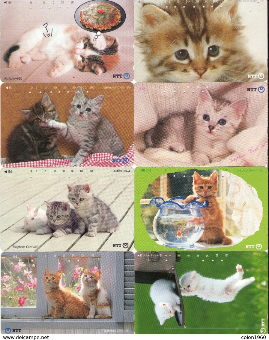 LOTE DE 8 TARJETAS TELEFONICAS DE JAPON. (GATOS - CHATS - CATS) (200) - Gatos