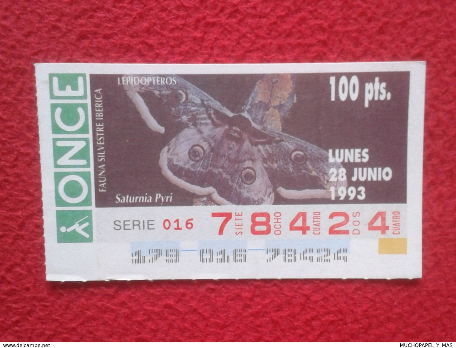 CUPÓN DE ONCE 1993 LOTTERY LOTERIE SPAIN LOTERÍA FAUNA FAUNE IBÉRICA MARIPOSA BUTTERFLY PAPILLON LEPIDÓPTEROS VER FOTO.. - Billetes De Lotería