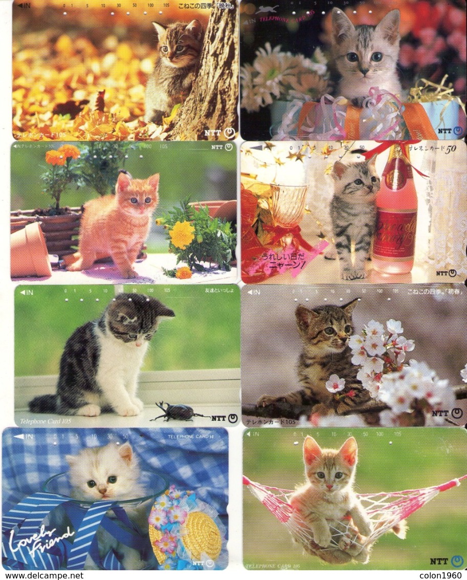 LOTE DE 8 TARJETAS TELEFONICAS DE JAPON. (GATOS - CHATS - CATS) (201) - Gatos