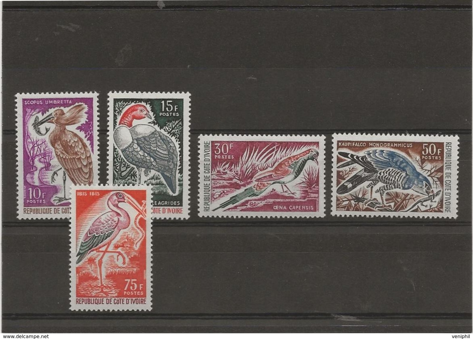 COTE D'IVOIRE N° 238 A 242 -NEUF X -SERIE OISEAUX - ANNEE 1965 - Unused Stamps