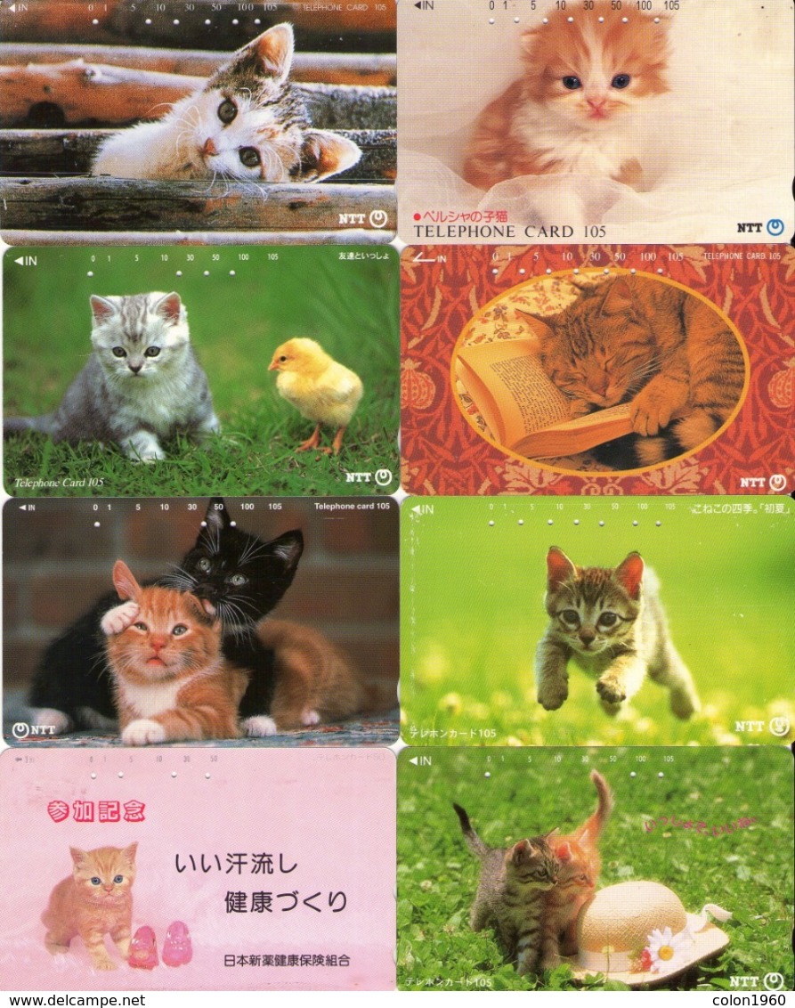 LOTE DE 8 TARJETAS TELEFONICAS DE JAPON. (GATOS - CHATS - CATS) (204) - Gatos