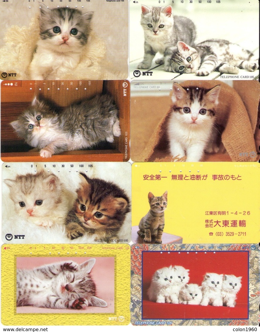 LOTE DE 8 TARJETAS TELEFONICAS DE JAPON. (GATOS - CHATS - CATS) (205) - Gatos