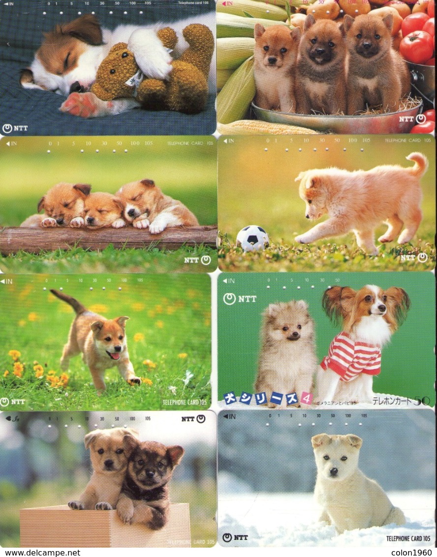 LOTE DE 8 TARJETAS TELEFONICAS DE JAPON. (PERROS - DOGS - CHIENS) (187) - Dogs