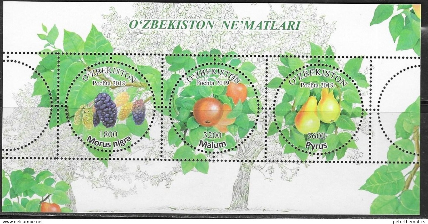 UZBEKISTAN, 2019, MNH, FRUIT, PEARS, BERRIES, SHEETLET - Fruits