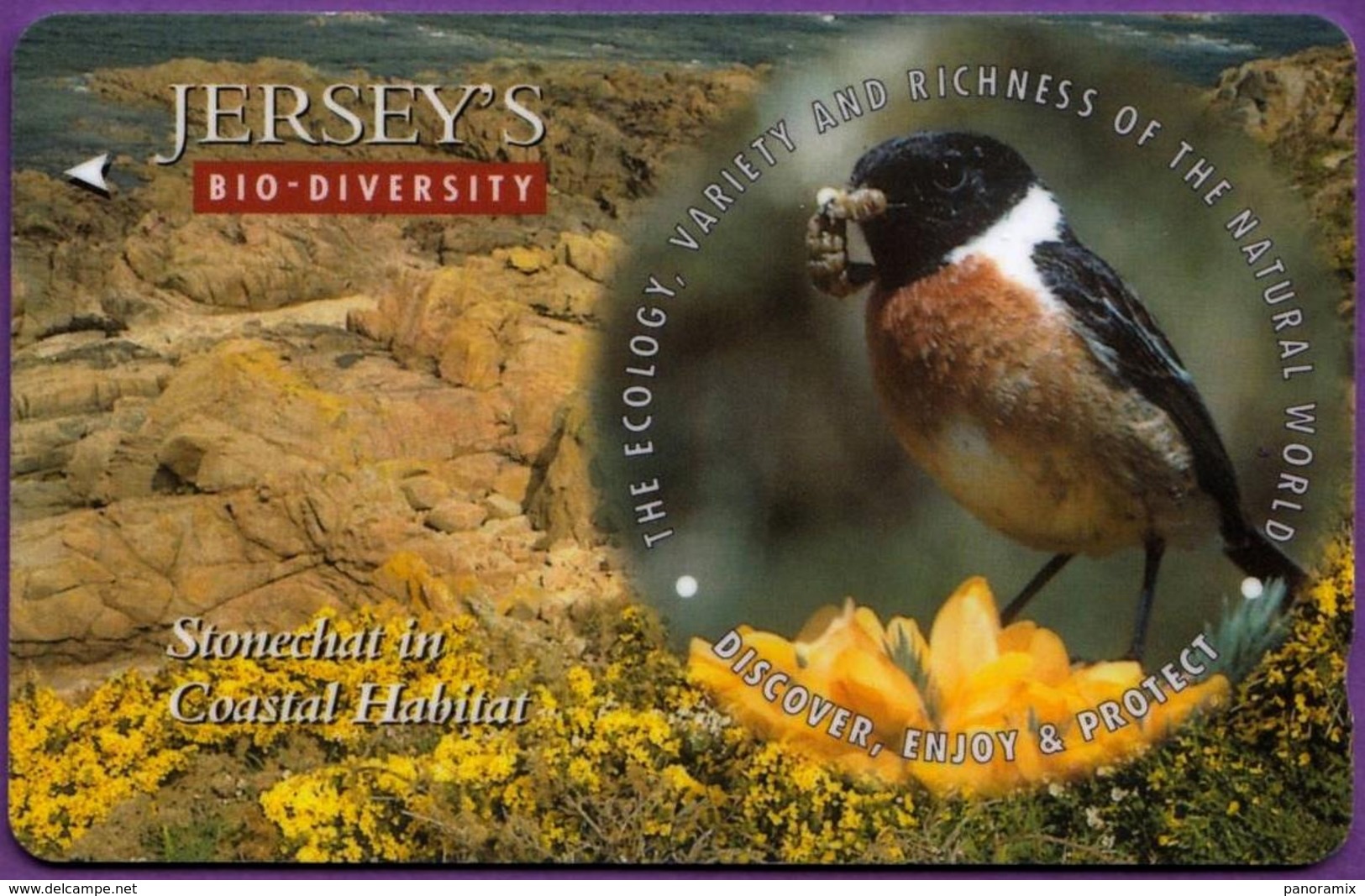 Telecarte °_ Jersey-oiseau-Stonechat Coastal-£2- R/V 6230 - [ 7] Jersey Und Guernsey