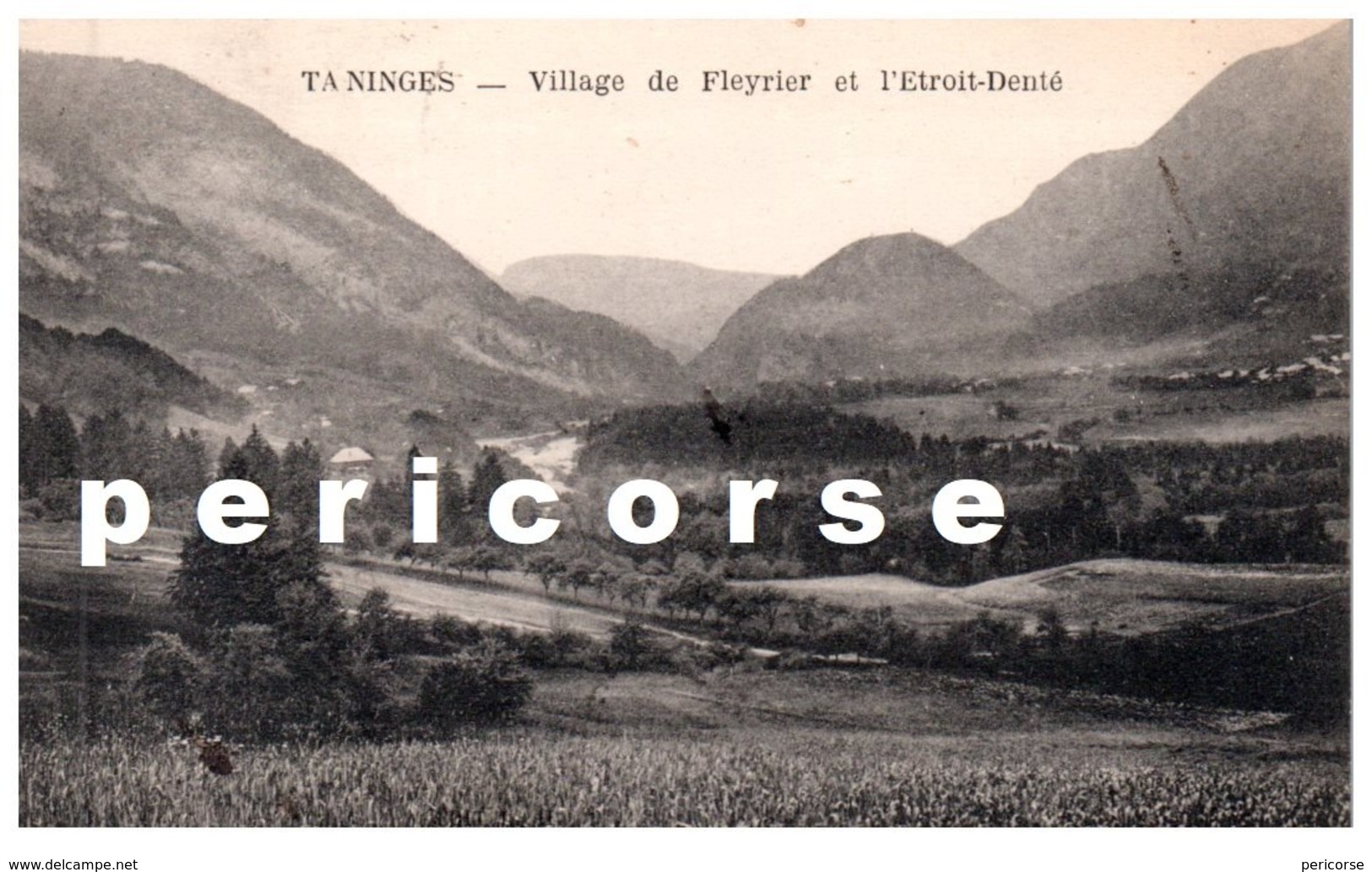74  Taninges  Village De Feyrier - Taninges