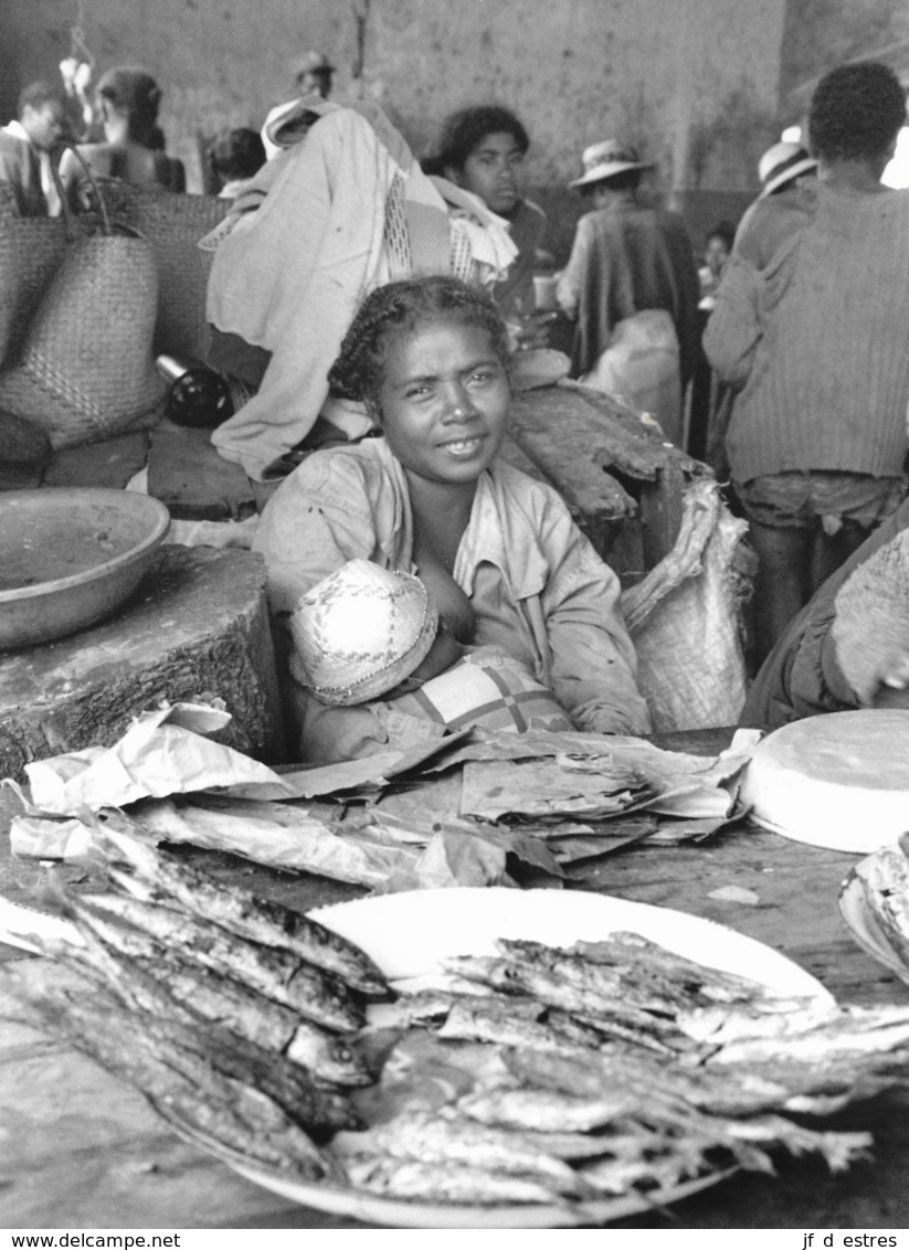 Photo Madagascar Antanosy (Fort Dauphin) Vendeuse De Poissons Grillés Au Marché 1998 Vivant Univers - Africa