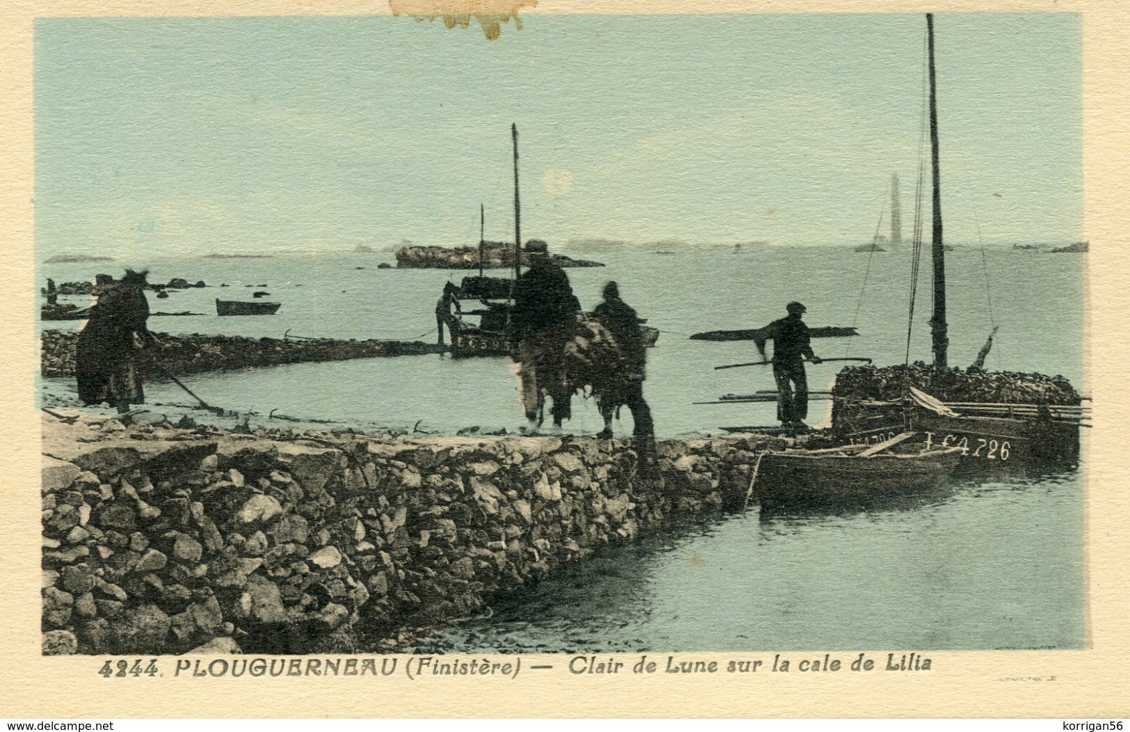 PLOUGUERNEAU  ***  BATEAU DE GOEMON  *** - Plouguerneau