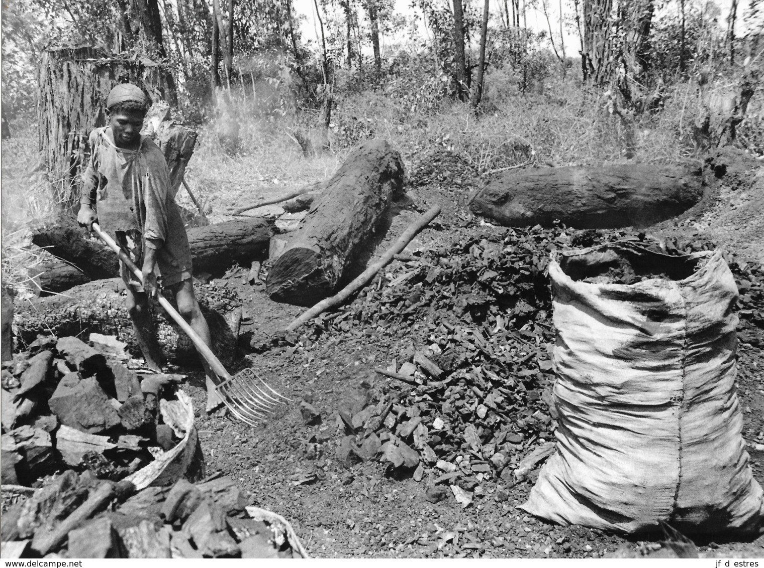 Photo Madagascar Fabrication De Charbon De Bois Région D'Antalaha 1998 Vivant Univers - Africa