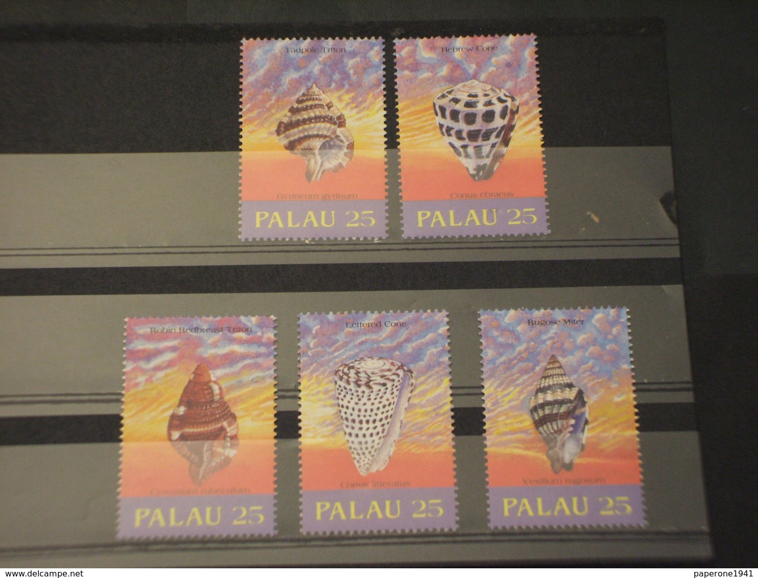 PALAU - 1989 CONCHIGLIE 5 VALORI  - NUOVI(++) - Palau