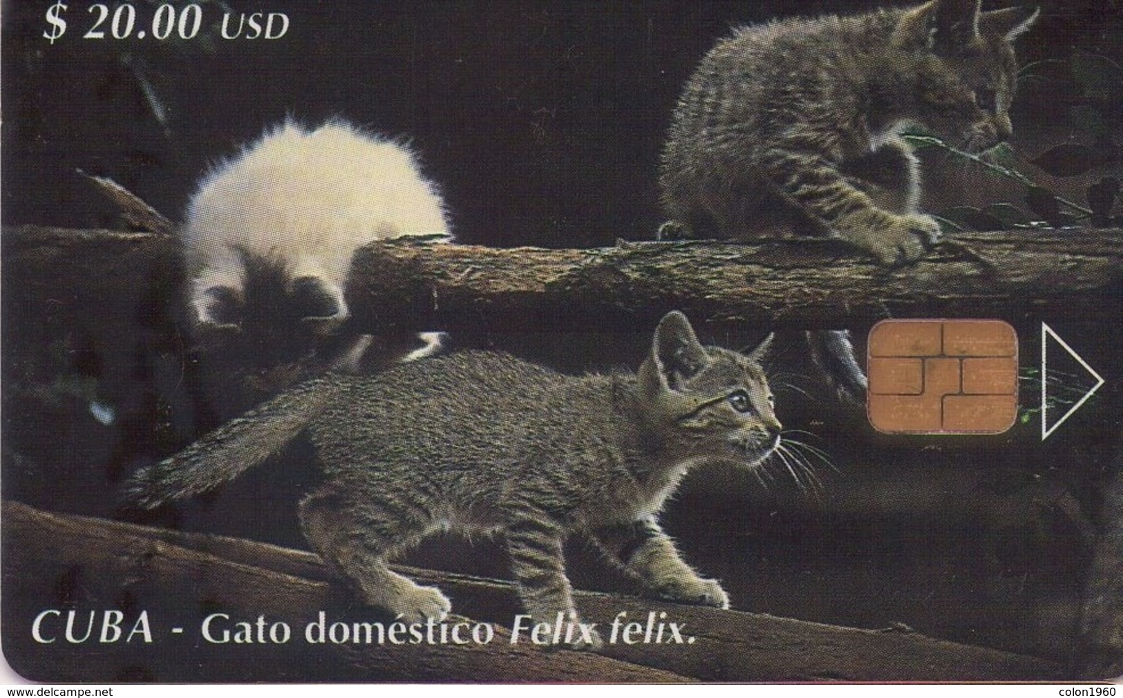 TARJETA TELEFONICA DE CUBA.  GATOS - CATS - CHATS. (GATO DOMESTICO) (331) - Katzen