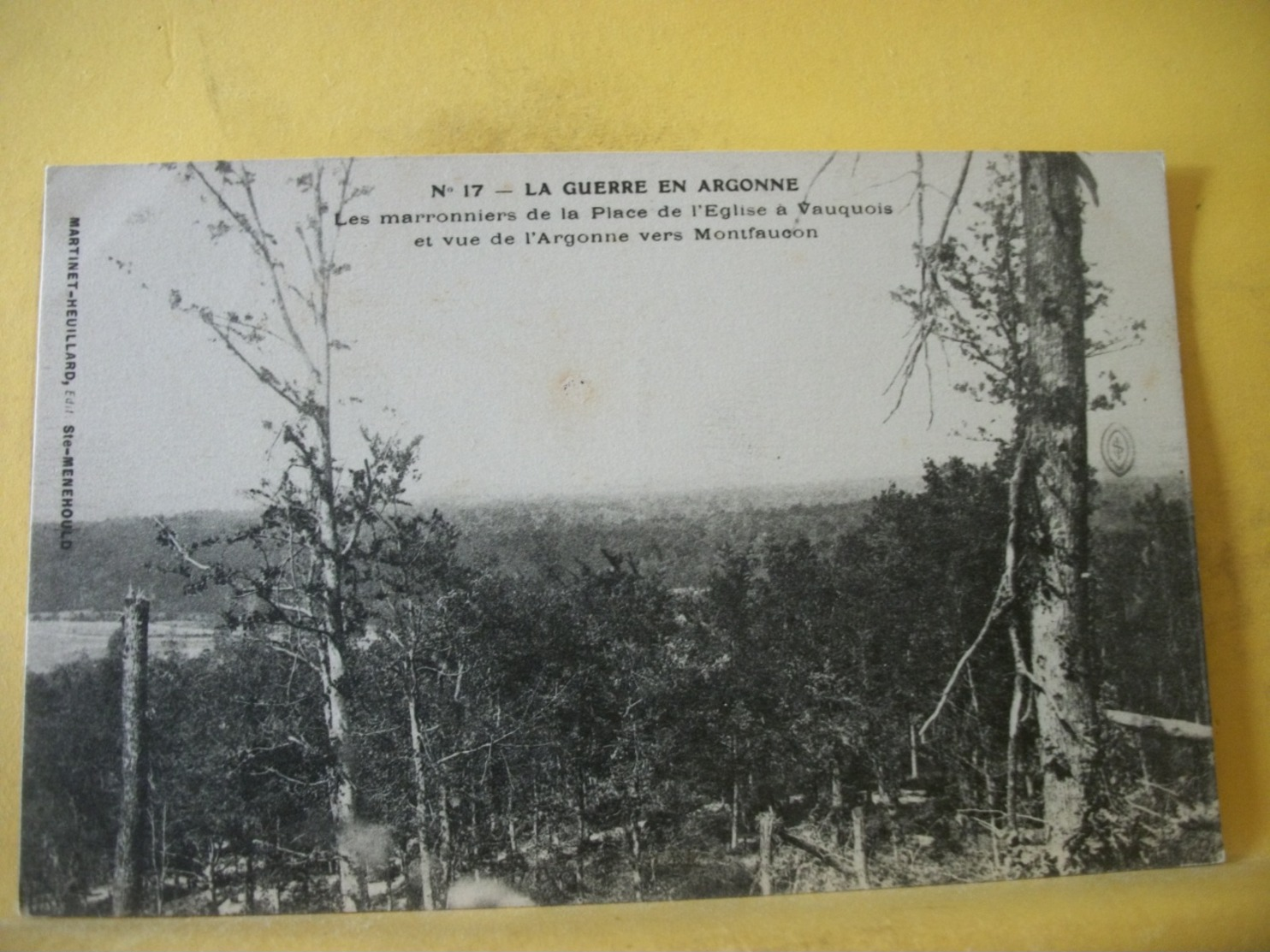 51 8240 CPA - 51 LA GUERRE... LES MARRONNIERS DE LA PLACE DE L'EGLISE A VAUQUOIS ET VUE DE L'ARGONNE VERS MONTFAUCON - Altri & Non Classificati