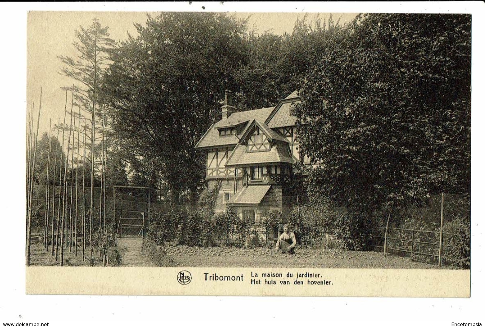 CPA-Carte Postale -Belgique Tribomont-La Maison Du Jardinier   VM8586 - Herve