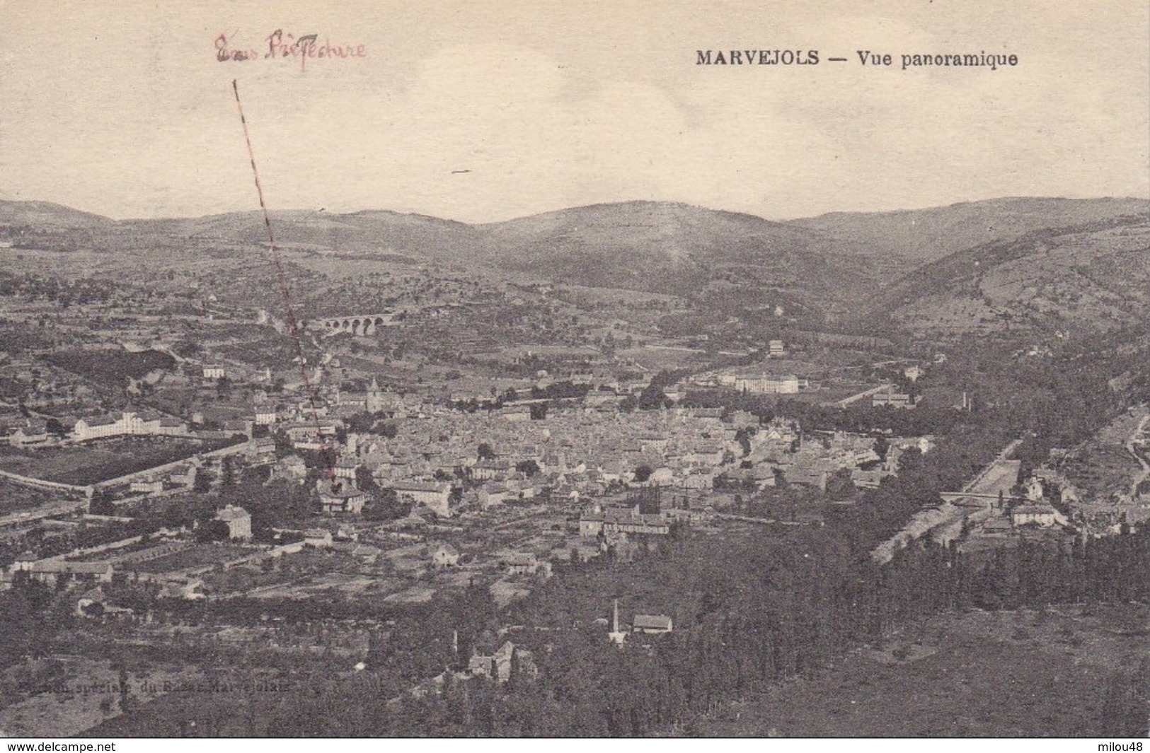 48 - MARVEJOLS - Vue Panoramique - Ed Spéciale Du Bazar Marvejolais - Marvejols