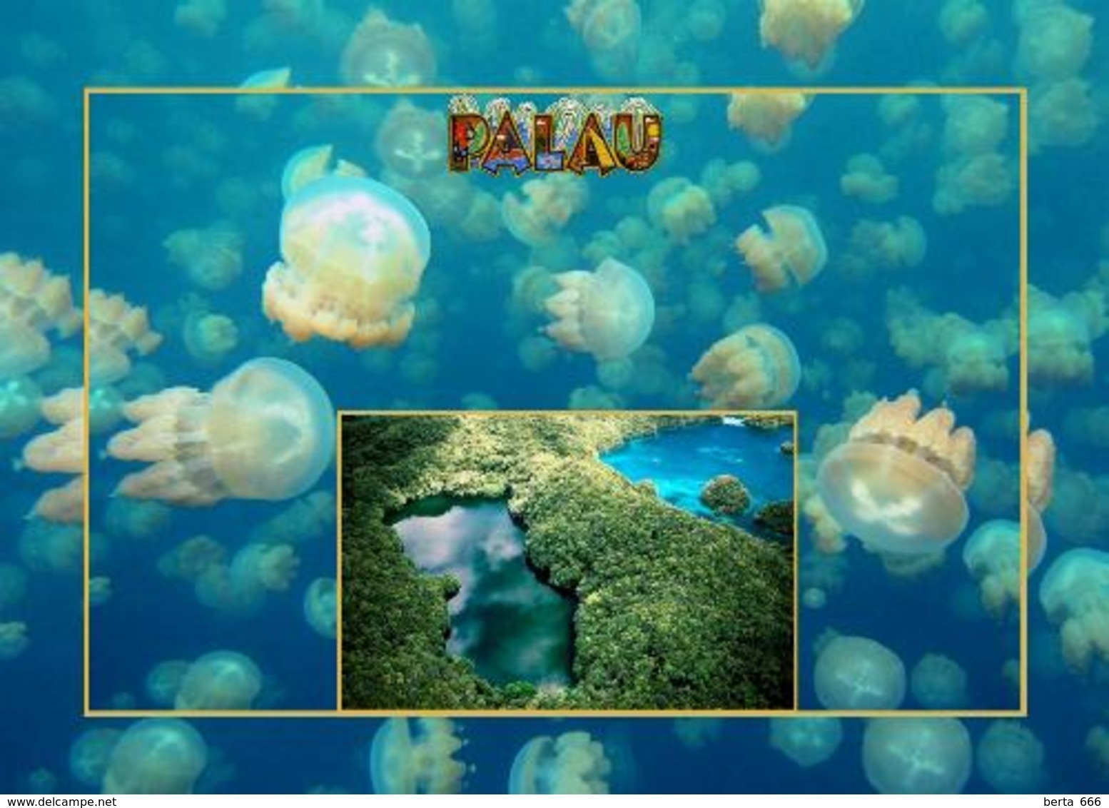 Palau Jellyfish Lake New Postcard - Palau