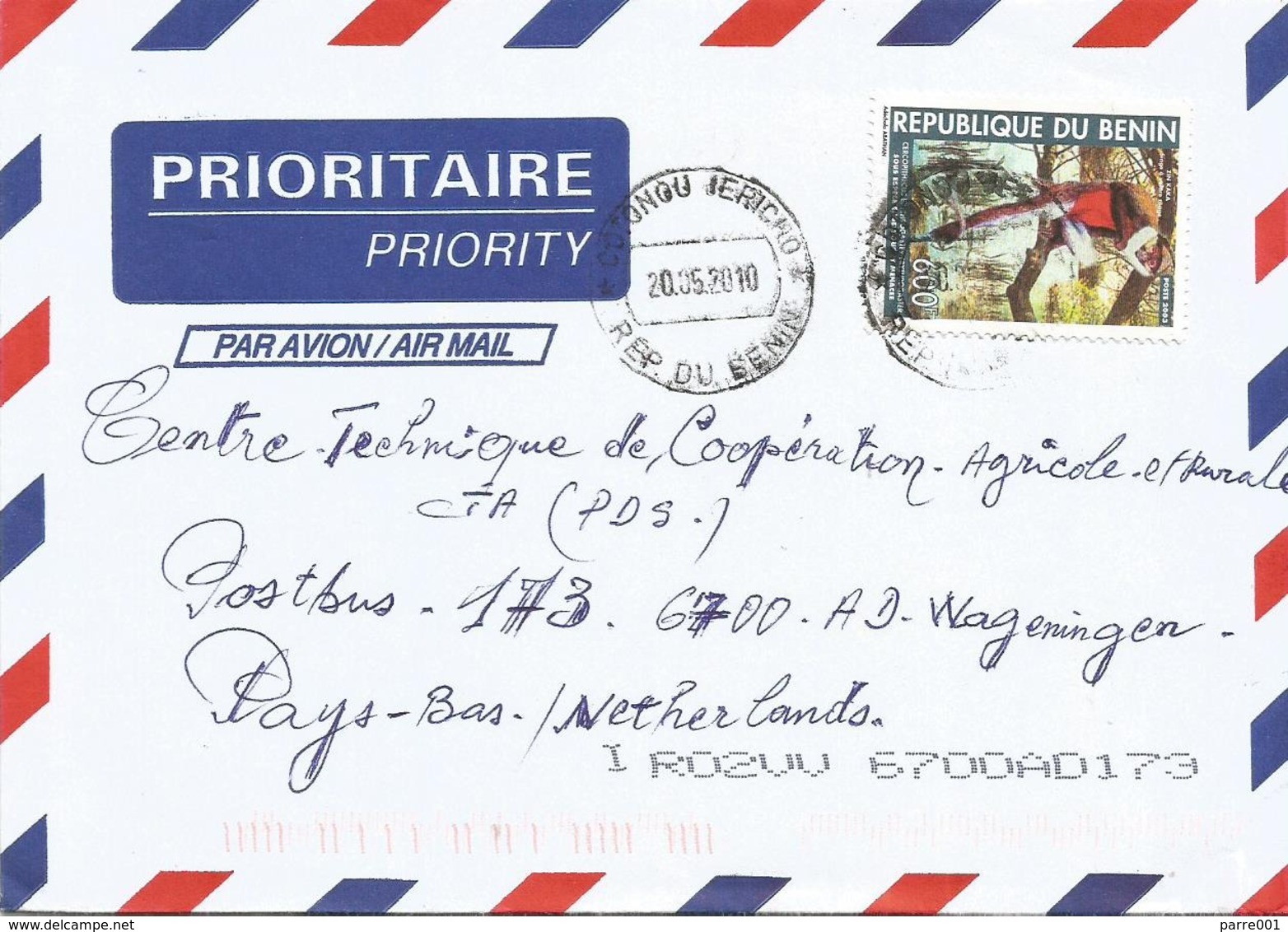 Benin 2010 Cotonou Guenon Endemic Monkey Ape 600f Cover - Apen