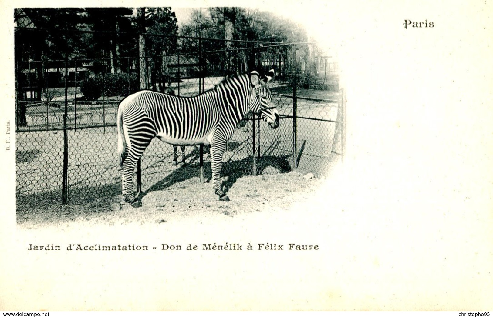 75016 .20472 .paris .jardin D Acclimatation .don De Menelik A Felix Faure .zebre . - Parcs, Jardins