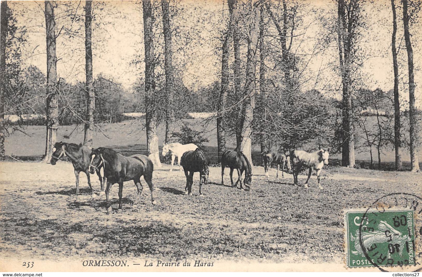 94-ORMESSON- LA PRAIRIE DU HARAS - Ormesson Sur Marne