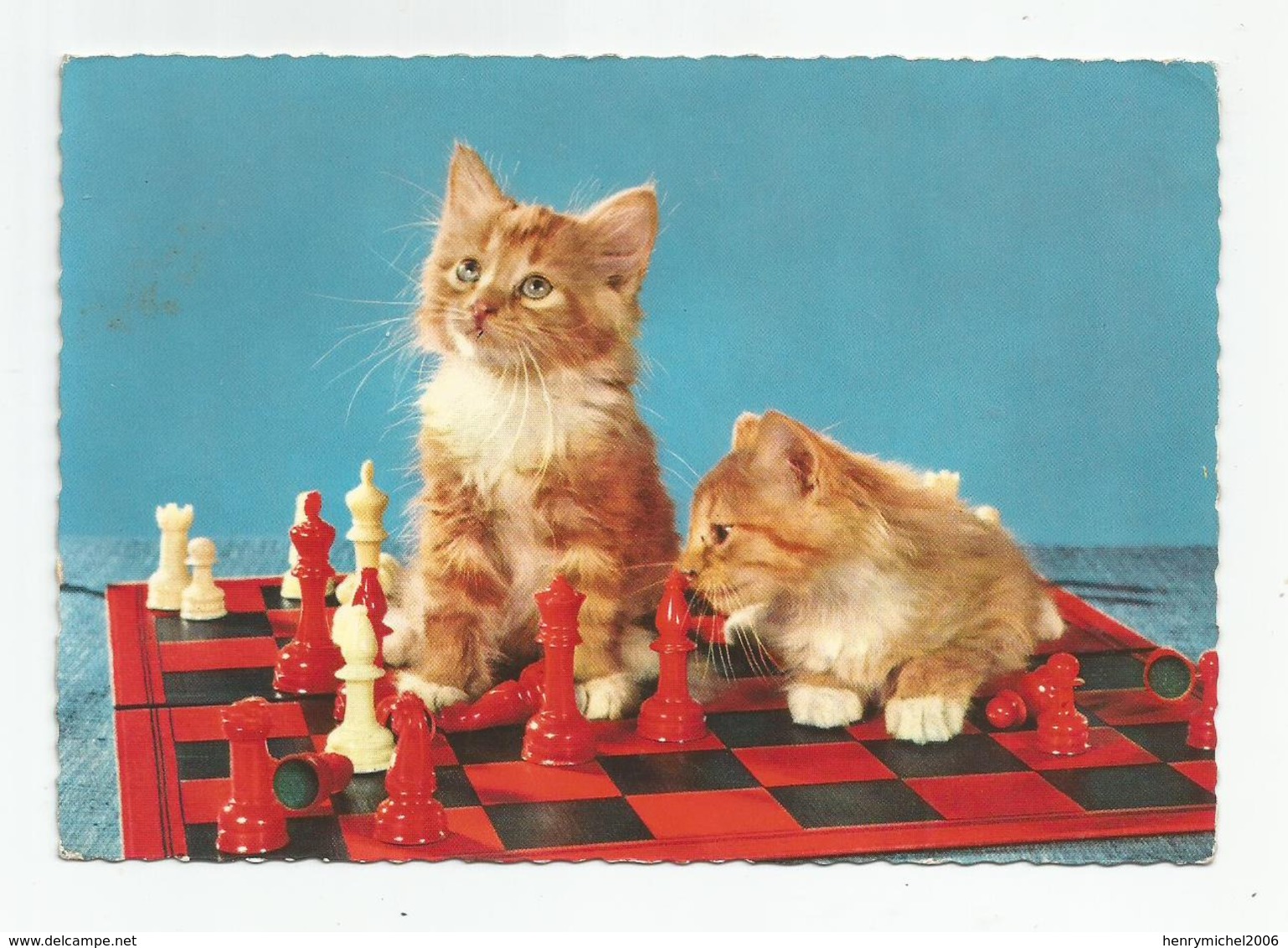 Cpsm Chatons Jeux D'échec - Echecs