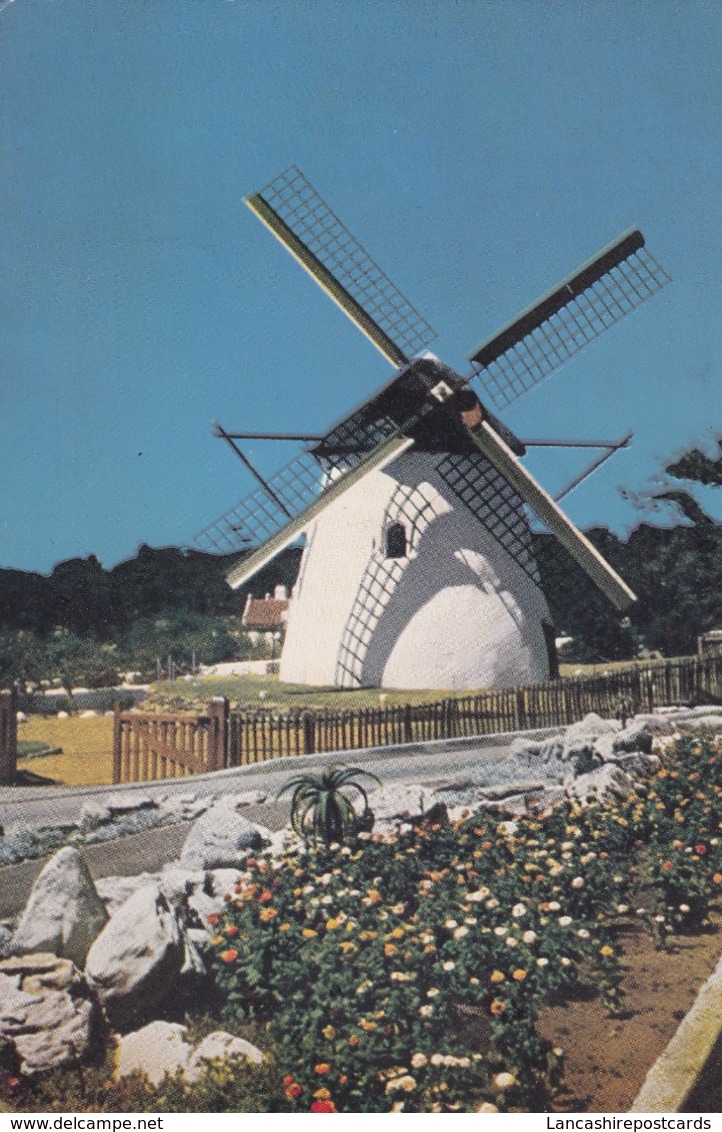 Postcard Mostert's Mill Mowbray Cape South Africa [ Windmill Interest ] My Ref  B23861 - Windmills