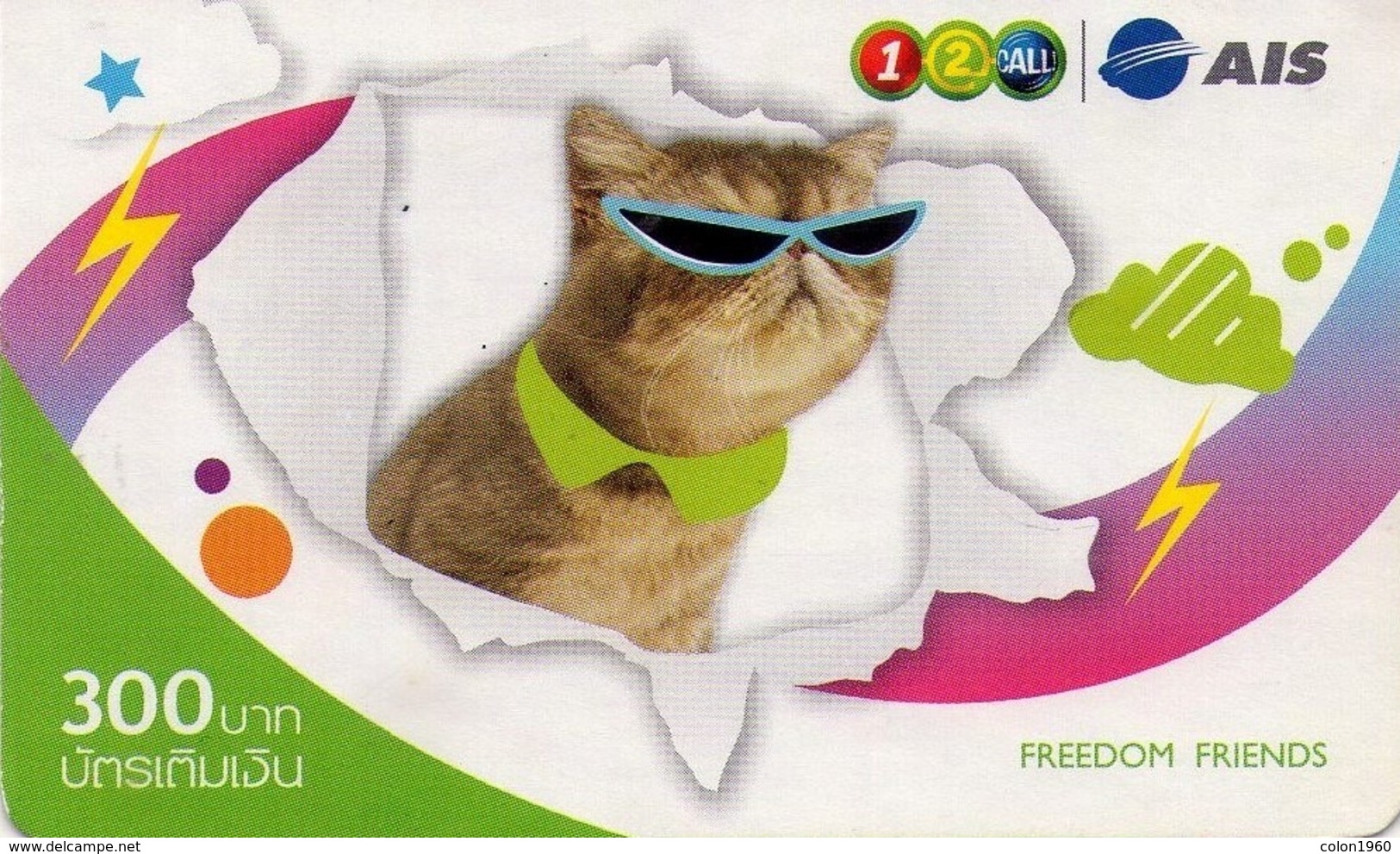 TAILANDIA. GATO - CAT - CHAT. Cat With Sunglasses. 06/2008. TH-12Call-1174. (001) - Gatos