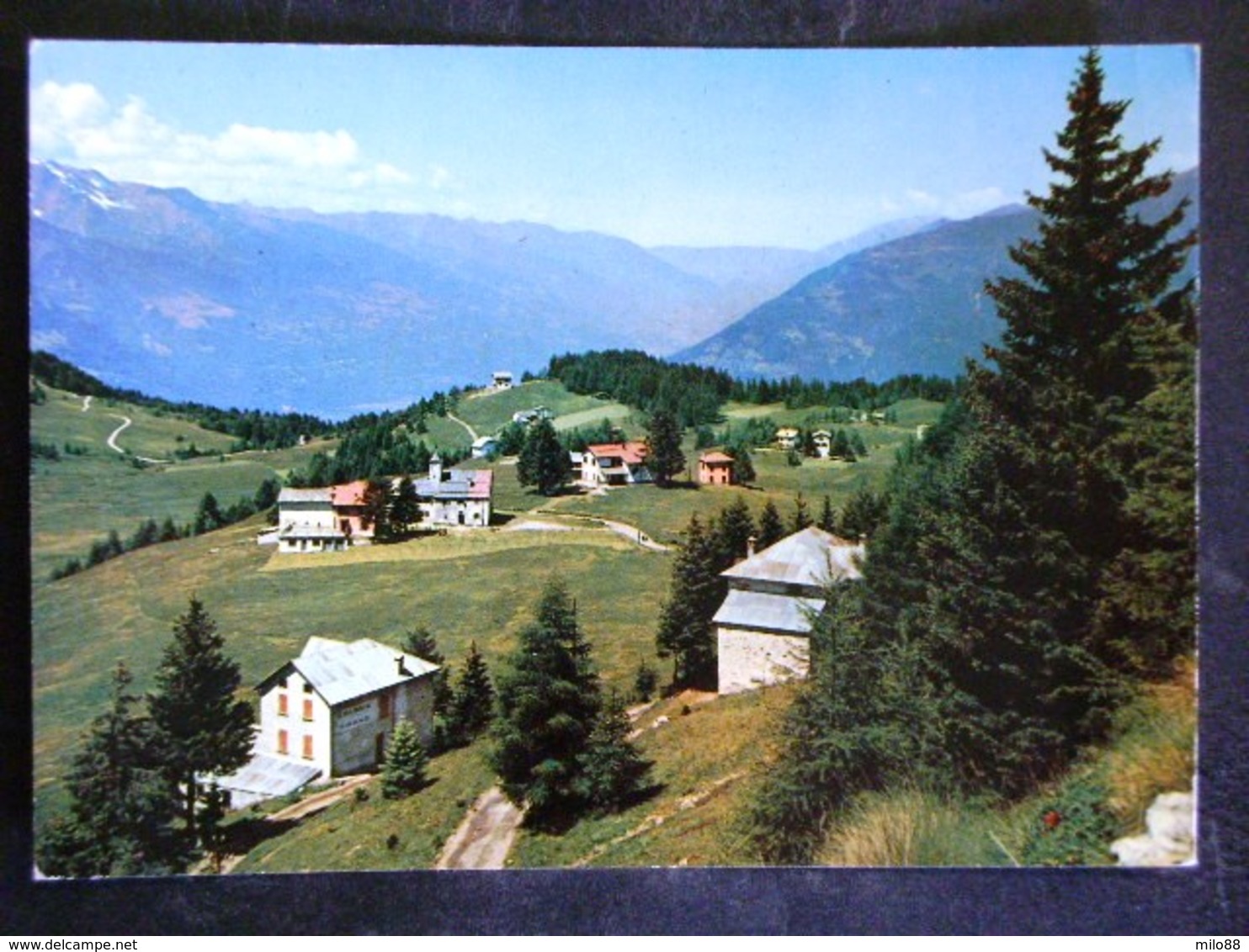 LOMBARDIA -SONDRIO -TIRANO -F.G. LOTTO N°650 - Sondrio