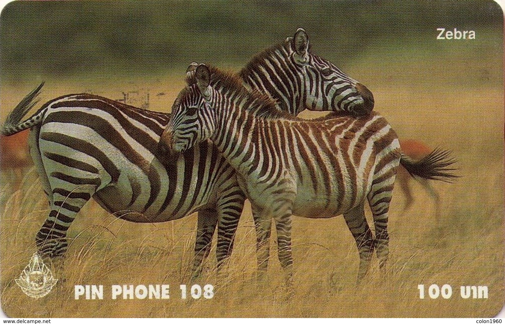 TAILANDIA. FAUNA. ZEBRAS - CEBRAS. 2004. 1247 0004. (073) - Otros & Sin Clasificación