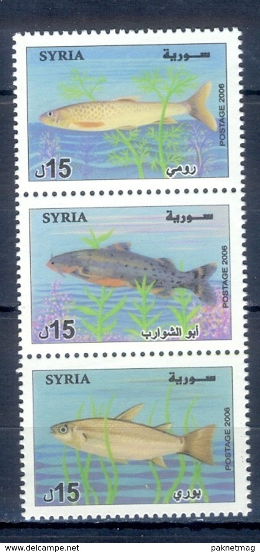 O40- Syria 2006 Fish. - Syria