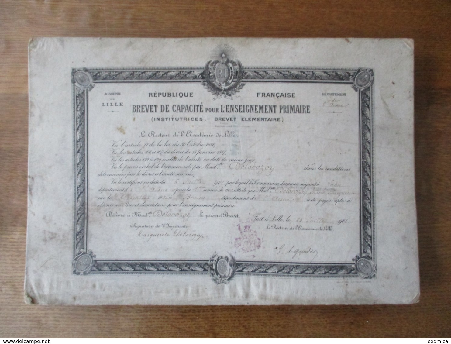 LILLE LE 25 JUILLET 1901 LE RECTEUR DE L'ACADEMIE Mlle DELOROZOY MARIE NEE LE 28 JUILLET 1880 A BRAINE A ETE JUGEE APTE - Diploma's En Schoolrapporten