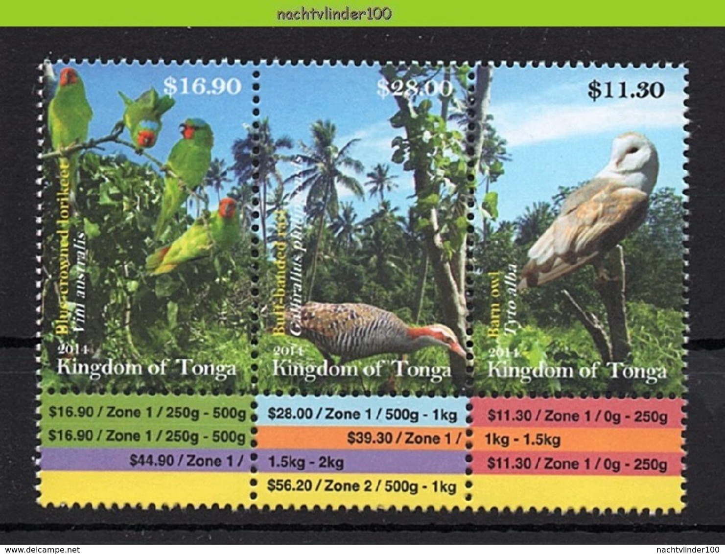 Nfk001 FAUNA VOGELS UIL PAPEGAAI RAL LORIKEET PARROT RAIL OWL EULE VÖGEL AVES OISEAUX TONGA 2014 PF/MNH - Verzamelingen, Voorwerpen & Reeksen