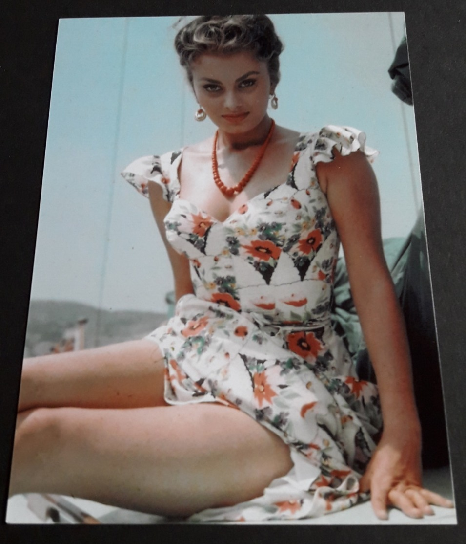 SOPHIA LOREN # Sexy Portrait # Großes Star-Photo, Ca. 13 X 18 Cm # [19-4562] - Fotos