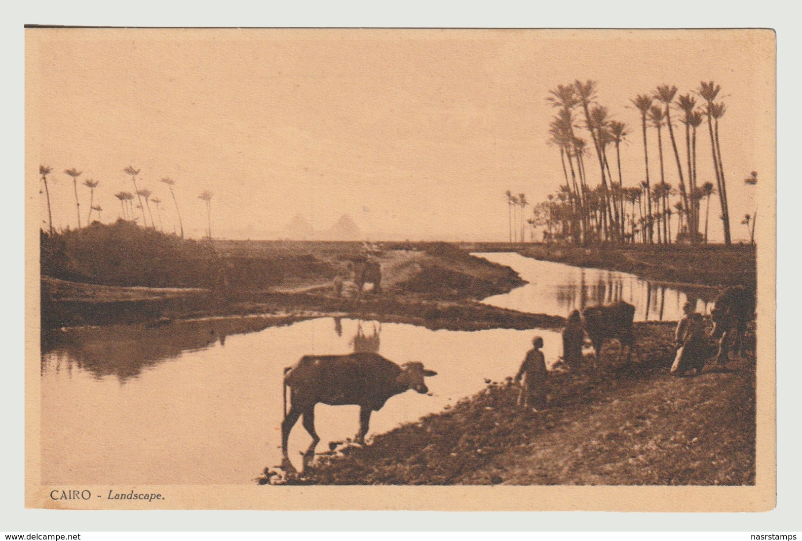 Egypt - Vintage Post Card - Cairo Landscape - Aegyptologie