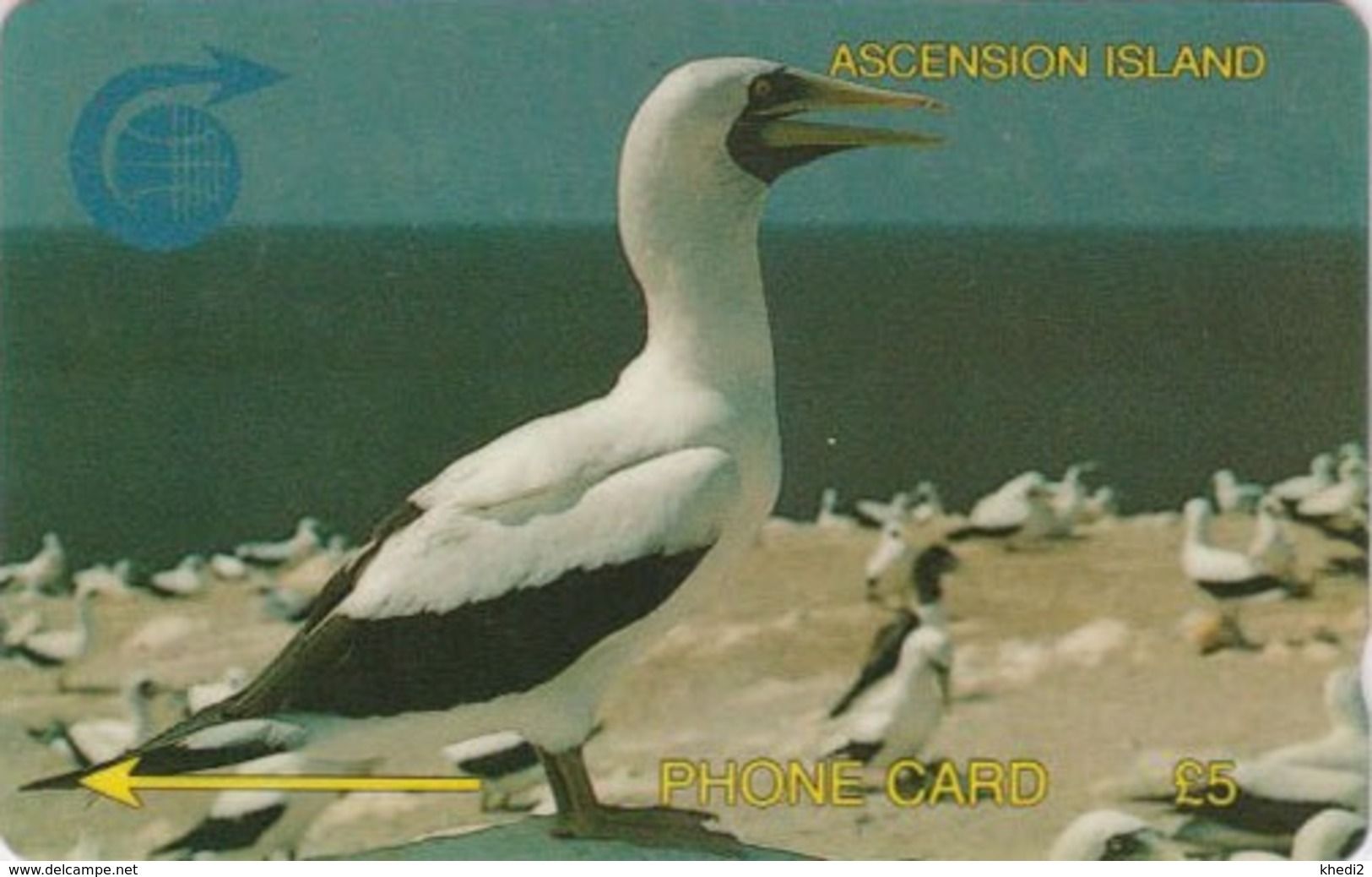 Télécarte GPT ASCENSION - Animal - OISEAU - FOU MASQUE - GANNET BIRD Phonecard - VOGEL - 4480 - Isole Ascensione