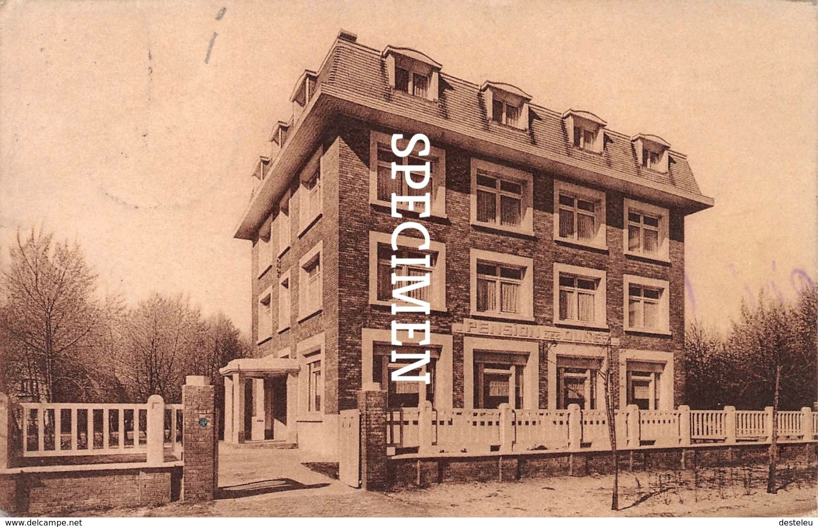 Pension Des Dunes - Nieuport - Nieuwpoort - Nieuwpoort