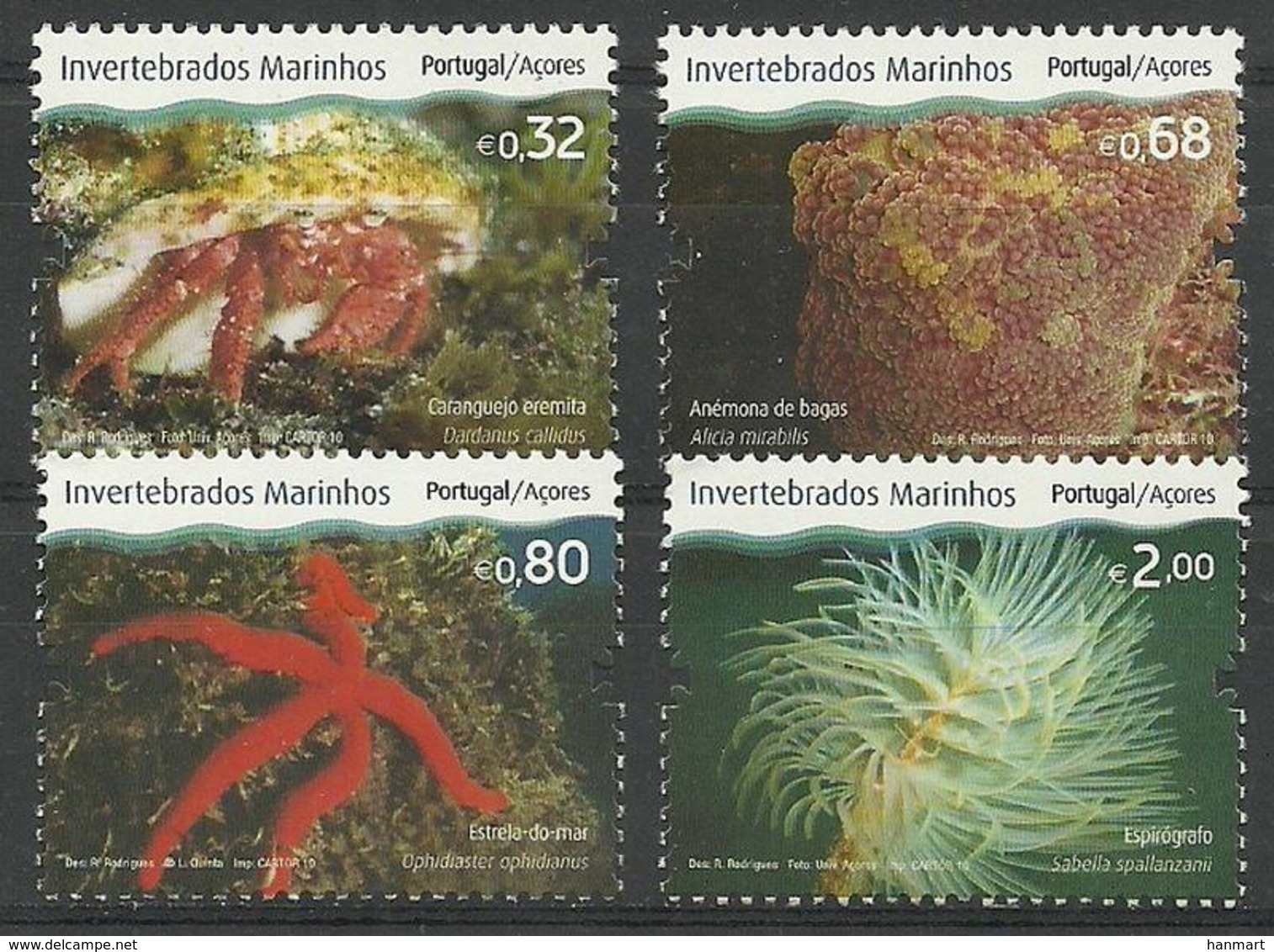 Azores 2010 Mi 563-566 MNH ( ZE1 AZR563-566 ) - Marine Life