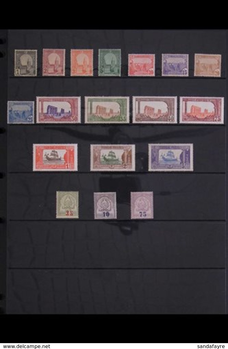 TUNISIA  1906-1955 ALL DIFFERENT VFM / NHM COLLECTION Presented On Stock Pages In An Album.. A Lovely Fresh Collection,  - Other & Unclassified